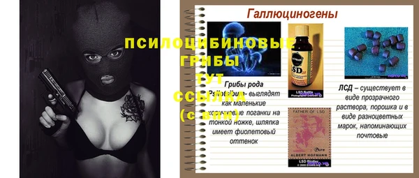 сатива Абинск