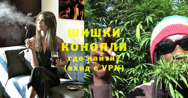 сатива Абинск